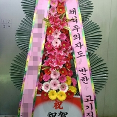 김포 축하화환 서양란