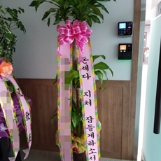 광주 축하화환 리본화환