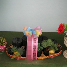 이천 축하화환 서양란