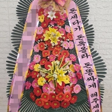 광주 축하화환 축하화환종류
