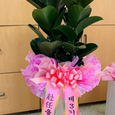 원주 꽃배달 꽃배달 당일배송