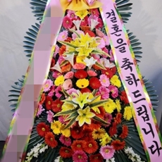 고양 일산서구 축하화환 축하화환가격