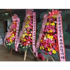원주 꽃배달 전국꽃배달