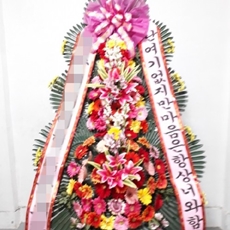 파주 축하화환 축하화환가격