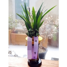 거제 축하화환 전국배송