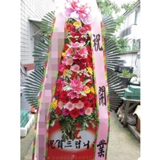 구리 축하화환 서양란