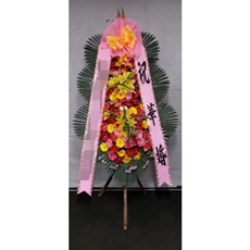 고양 덕양구 축하화환 서양란