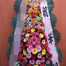과천 축하화환 전국배송