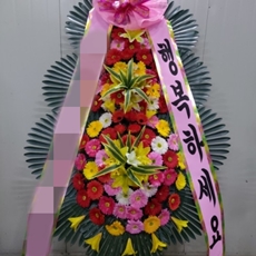 창원 마산회원구 축하화환 서양란