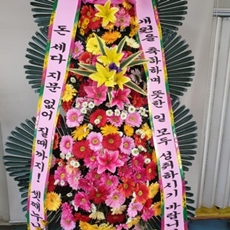 안성 축하화환 축하화환당일배송