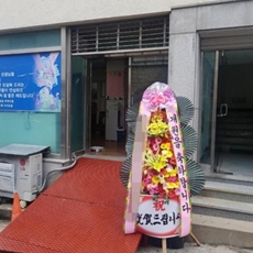 과천 축하화환 서양란