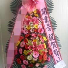시흥시 축하화환 서양란