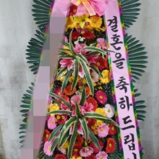 함안 축하화환 서양란