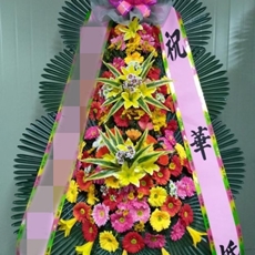 군포 축하화환 서양란