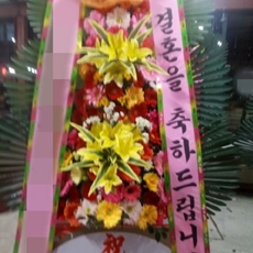 구리 축하화환 서양란