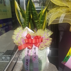 평택 꽃배달 당일꽃배달