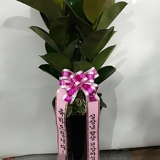 과천 축하화환 스탠드화환