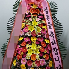 원주 꽃배달 당일꽃배달