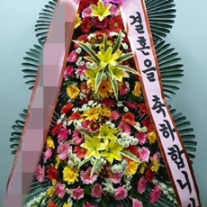 과천 축하화환 축하화환당일배송