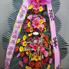 파주 축하화환 축하화환가격