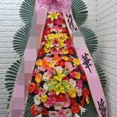 파주 꽃배달 빠른배송