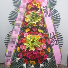 성남 분당구 축하화환 축하화환당일배송