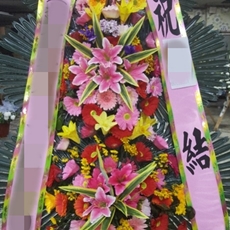 안성 축하화환 축하화환종류