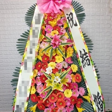 고양 덕양구 꽃배달 꽃바구니배달
