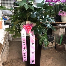 하동 축하화환 축하화환가격