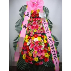 정선 꽃배달 꽃배달 당일배송