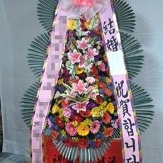 창원 마산회원구 축하화환 축하화환종류