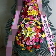 양양 꽃배달 꽃다발선물