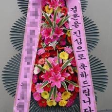 동두천시 축하화환 축하화환종류