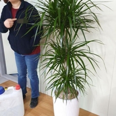 남양주 축하화환 쌀화환
