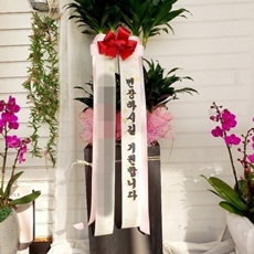 파주 꽃배달 꽃다발배달
