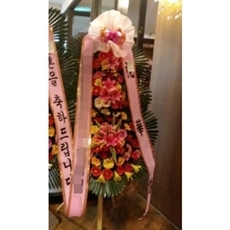 횡성 축하화환 서양란