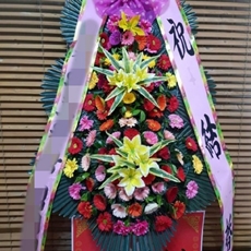 인제 꽃배달 당일꽃배달