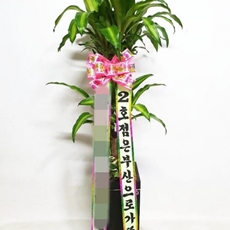 이천 꽃배달 꽃다발선물