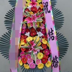 과천 축하화환 서양란