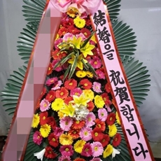 양산 축하화환 축하화환가격