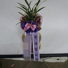 광주 축하화환 개업화환추천