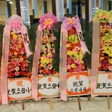 과천 축하화환 축하화환종류