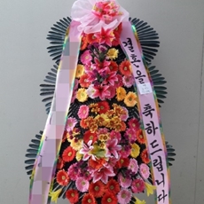 포천 꽃배달 생화배달