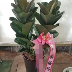 광명 축하화환 결혼식화환추천